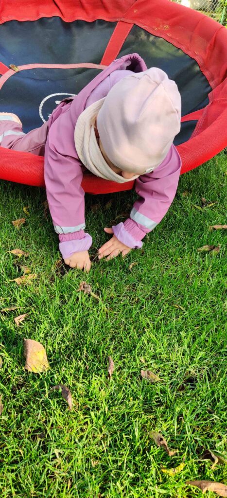 Kindertagespflege Johannisbaerchen Detmold Pivitsheide Kinderschaukel im Naturnahen Garten